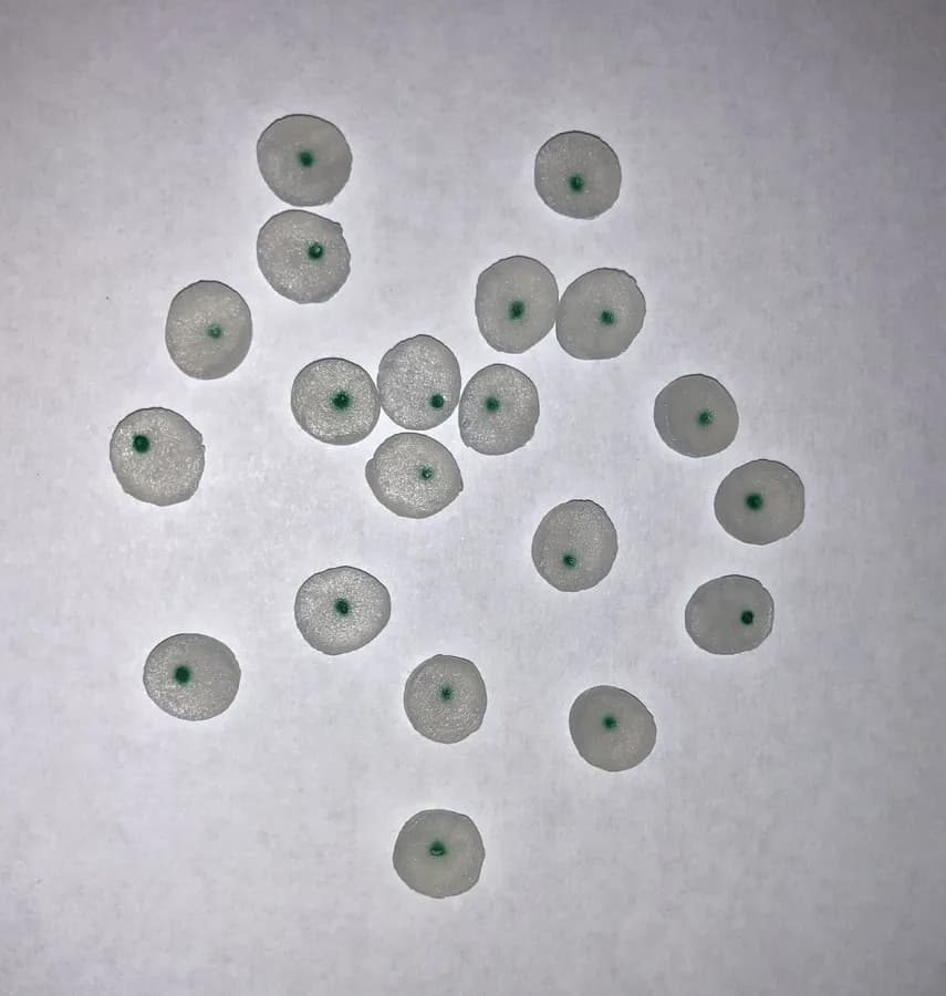 Occlusal Pads Size MEDIUM  12/pk