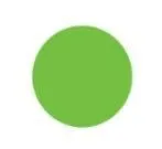 Lime Green Short Filament PowerChain