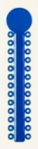 Royal Blue Ligature Ties